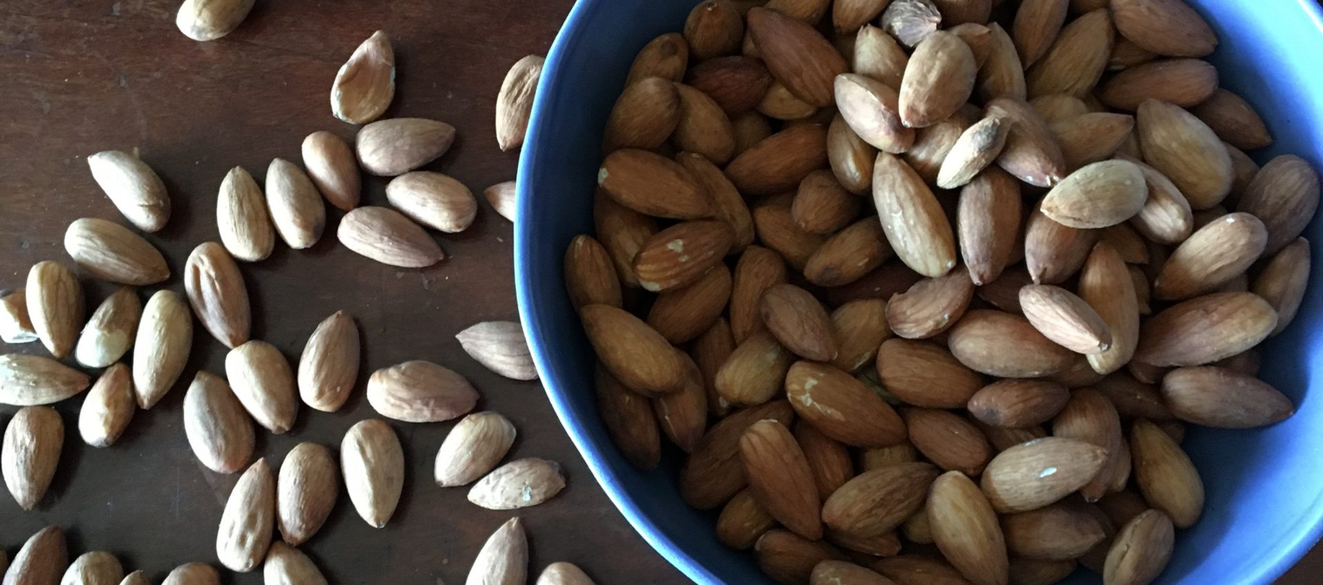 a bowl of activated almonds made at Girragirra