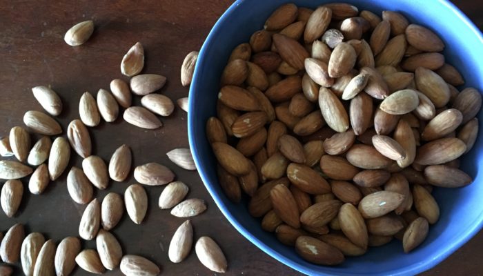 A bowl of activated almonds made at Girragirra