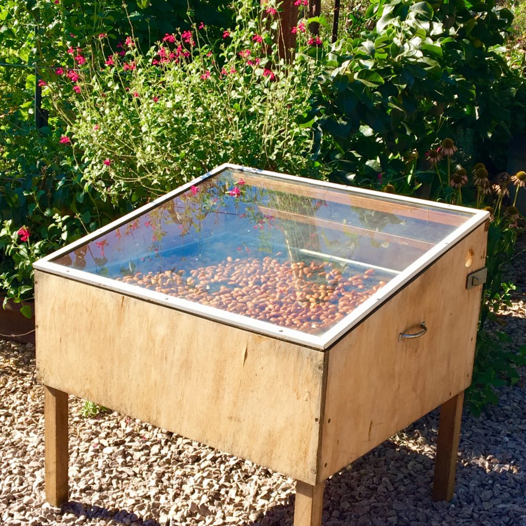 the solar dehydrator drying almonds at Girragirra